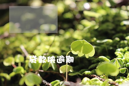 贷款侠逾期 贷款侠逾期