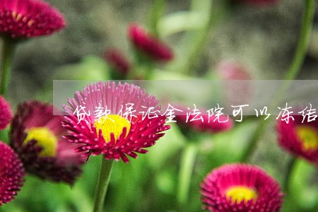 贷款保证金法院可以冻结吗 贷款保证金法院可以冻结吗