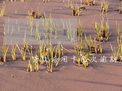 贷款信用卡几次逾期不能贷款 贷款信用卡几次逾期不能贷款
