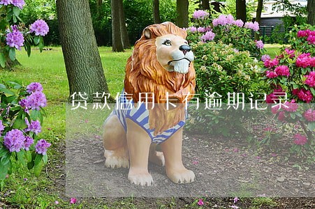 贷款信用卡有逾期记录 贷款信用卡有逾期记录