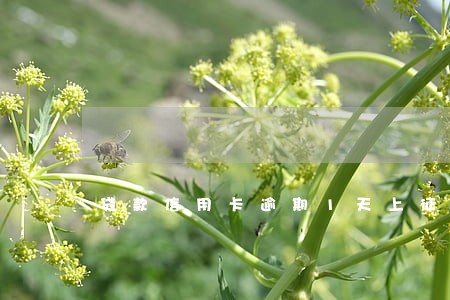 贷款信用卡逾期1天上征信吗 贷款信用卡逾期1天上征信吗
