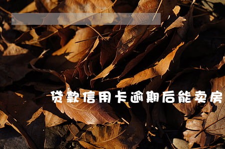 贷款信用卡逾期后能卖房吗 贷款信用卡逾期后能卖房吗