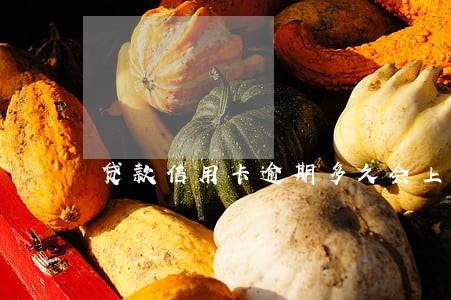 贷款信用卡逾期多久会上黑名单 贷款信用卡逾期多久会上黑名单