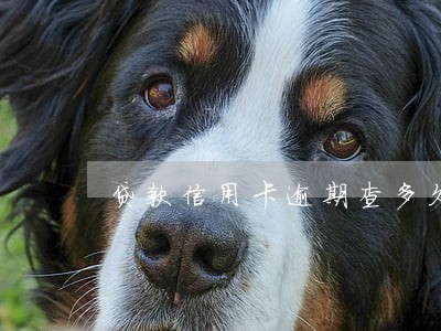 贷款信用卡逾期查多久 贷款信用卡逾期查多久