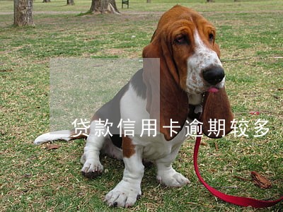 贷款信用卡逾期较多 贷款信用卡逾期较多