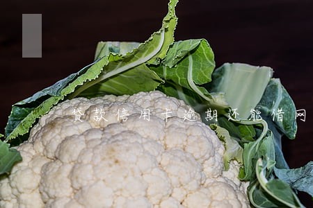贷款信用卡逾期还能借网贷吗 贷款信用卡逾期还能借网贷吗