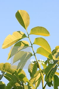 贷款信用逾期记录多久会消除 贷款信用逾期记录多久会消除