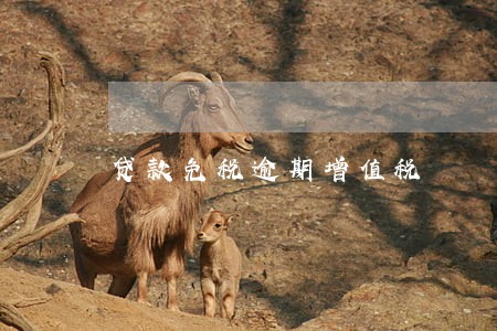 贷款免税逾期增值税 贷款免税逾期增值税