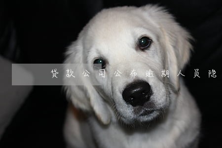 贷款公司公布逾期人员隐私