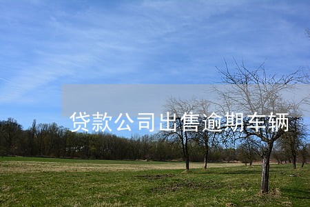 贷款公司出售逾期车辆 贷款公司出售逾期车辆