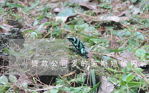 贷款公司发的逾期短信内容 贷款公司发的逾期短信内容