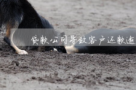 贷款公司导致客户还款逾期 贷款公司导致客户还款逾期