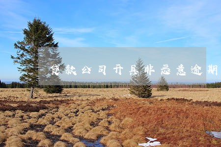 贷款公司开具非恶意逾期证明 贷款公司开具非恶意逾期证明