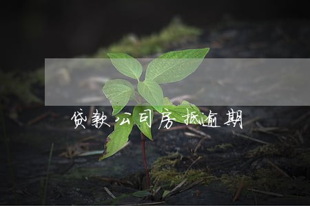 贷款公司房抵逾期 贷款公司房抵逾期
