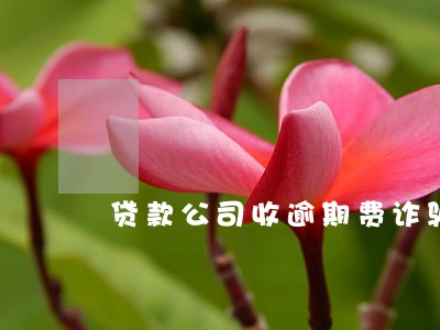 贷款公司收逾期费诈骗吗 贷款公司收逾期费诈骗吗