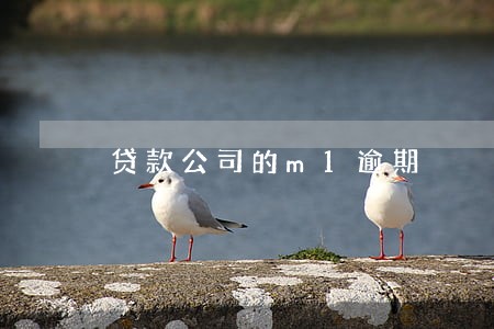 贷款公司的m1逾期 贷款公司的m1逾期