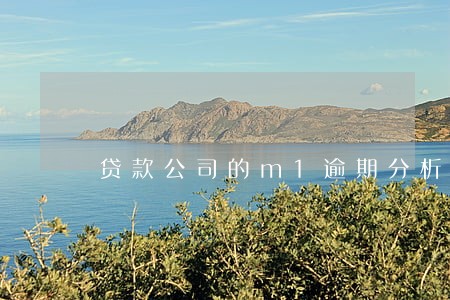 贷款公司的m1逾期分析 贷款公司的m1逾期分析
