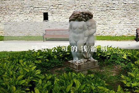 贷款公司的钱逾期 贷款公司的钱逾期