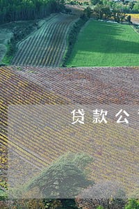 贷款公司贷款逾期会咋样 贷款公司贷款逾期会咋样