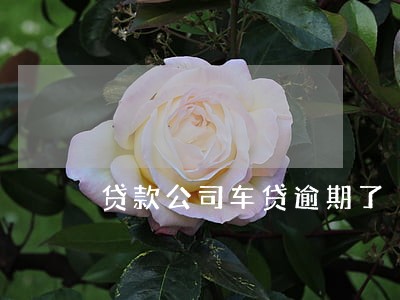贷款公司车贷逾期了 贷款公司车贷逾期了