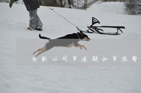 贷款公司车逾期扣车报警 贷款公司车逾期扣车报警