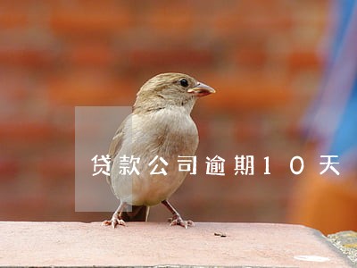 贷款公司逾期10天 贷款公司逾期10天