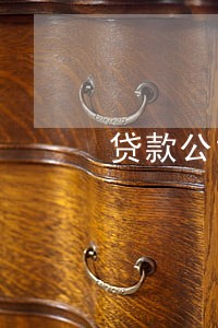 贷款公司逾期一天收入百分之5 贷款公司逾期一天收入百分之5