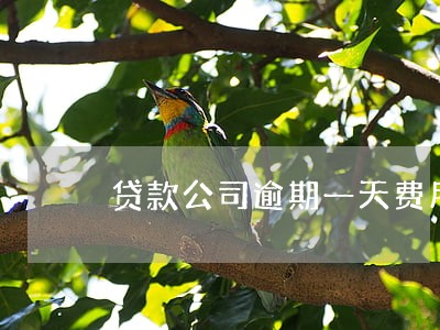 贷款公司逾期一天费用300 贷款公司逾期一天费用300