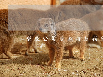 贷款公司逾期催款信息 贷款公司逾期催款信息