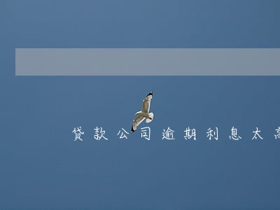 贷款公司逾期利息太高 贷款公司逾期利息太高