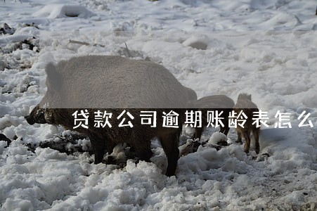 贷款公司逾期账龄表怎么做的 贷款公司逾期账龄表怎么做的