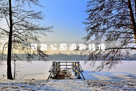 贷款公司逾期转债 贷款公司逾期转债