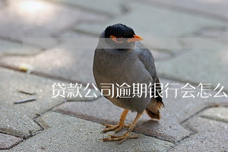 贷款公司逾期银行会怎么样