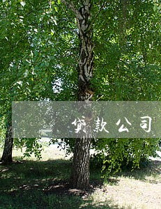 贷款公司高额逾期费合法吗 贷款公司高额逾期费合法吗