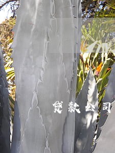 贷款公司高额逾期费哪里举报 贷款公司高额逾期费哪里举报
