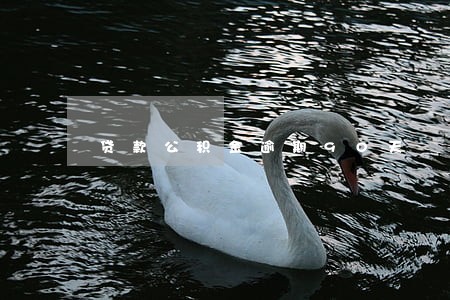 贷款公积金逾期90天
