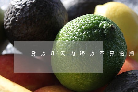 贷款几天内还款不算逾期 贷款几天内还款不算逾期
