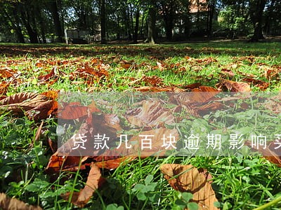 贷款几百块逾期影响买房吗