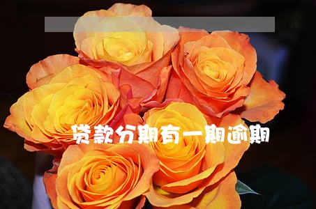 贷款分期有一期逾期 贷款分期有一期逾期