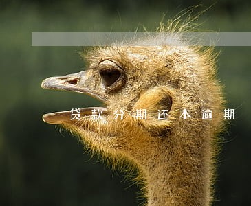 贷款分期还本逾期 贷款分期还本逾期