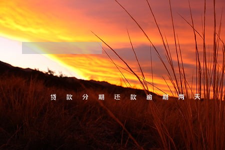 贷款分期还款逾期两天 贷款分期还款逾期两天