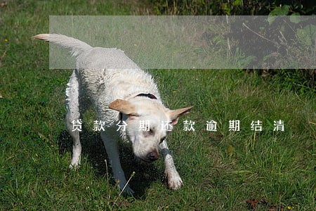 贷款分期还款逾期结清 贷款分期还款逾期结清