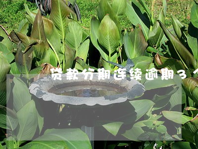贷款分期连续逾期3个月还了 贷款分期连续逾期3个月还了