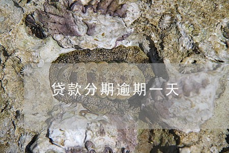 贷款分期逾期一天 贷款分期逾期一天