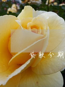 贷款分期逾期的危害 贷款分期逾期的危害