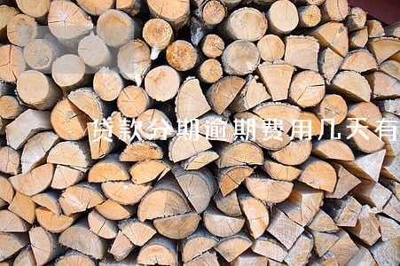 贷款分期逾期费用几天有事吗 贷款分期逾期费用几天有事吗