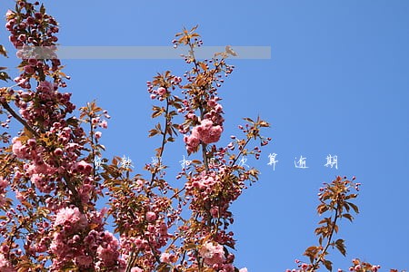 贷款划扣几次算逾期 贷款划扣几次算逾期