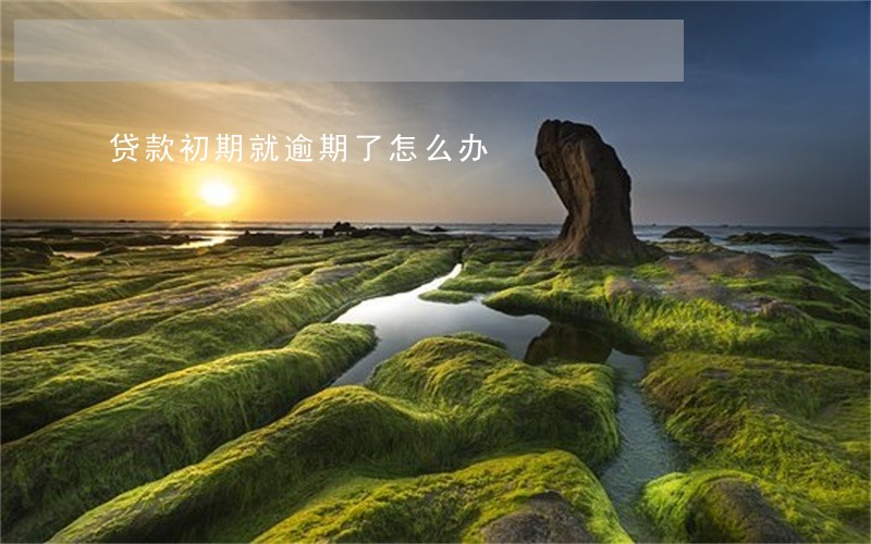 贷款初期就逾期了怎么办