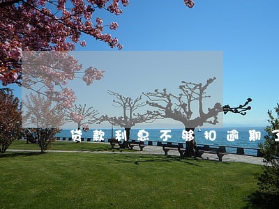 贷款利息不够扣逾期了