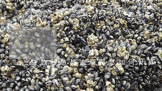 贷款利息与逾期罚息如何计算 贷款利息与逾期罚息如何计算